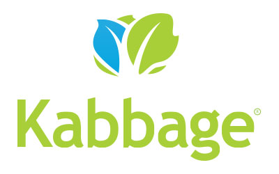 Kabbage Clone Script