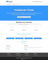 Freelancer Clone