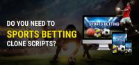 Sports Betting Clone Scripts