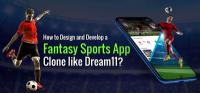 Fantasy Sports App Clone like Dream11